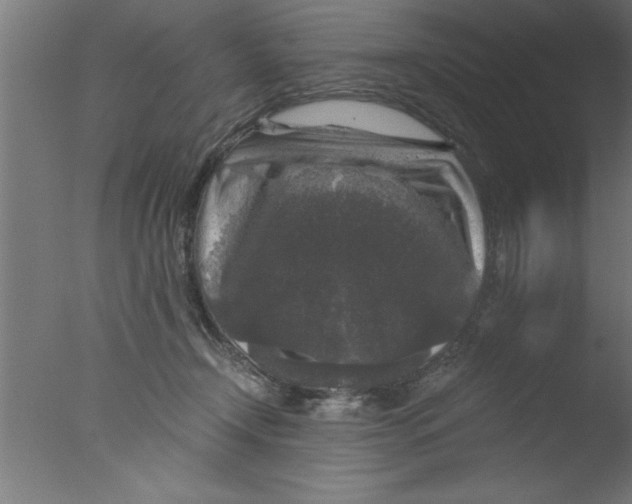 X0000076030366200610201833