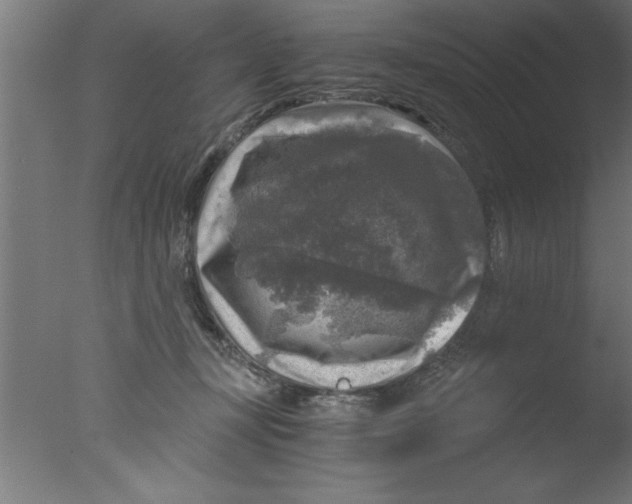 X0000076030367200610201833