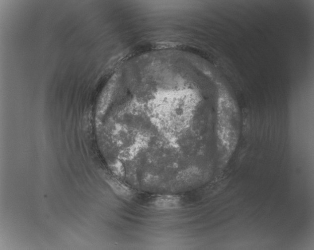 X0000076030369200610201833