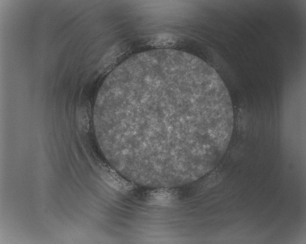 X0000076030370200610201833