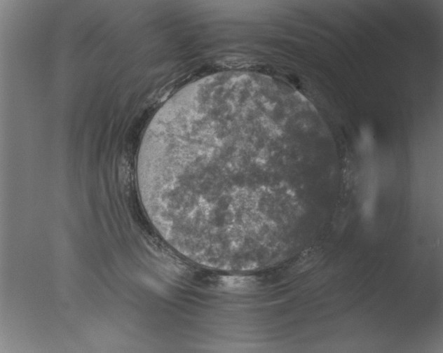 X0000076030371200610201833