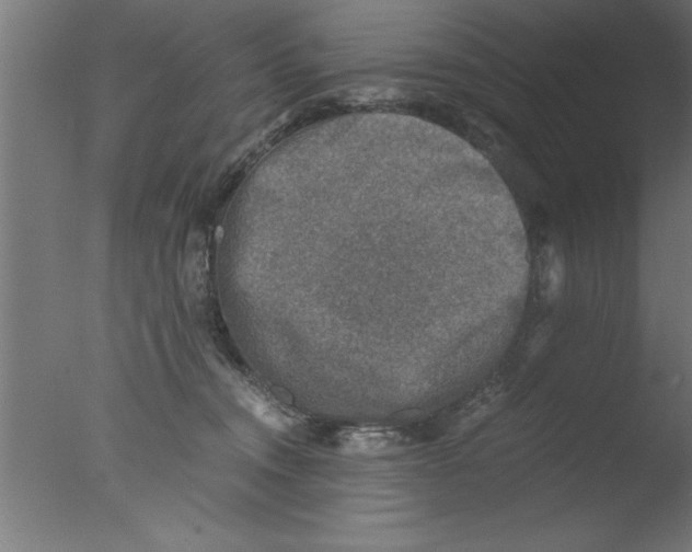 X0000076030372200610201833