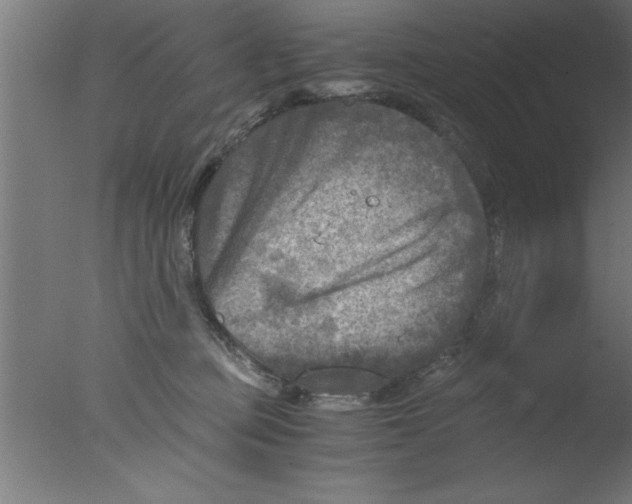 X0000076030373200610201833