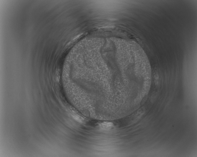 X0000076030374200610201833