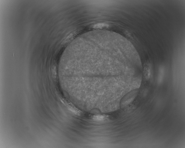 X0000076030375200610201833