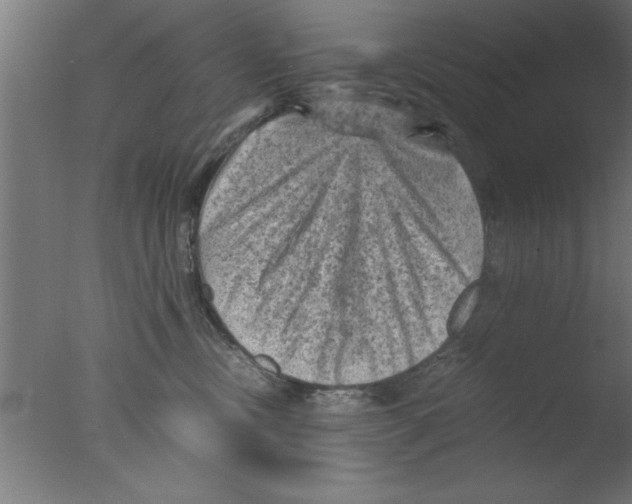 X0000076030378200610201833