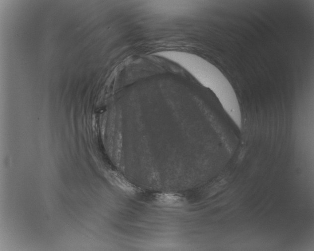 X0000076030380200610201833