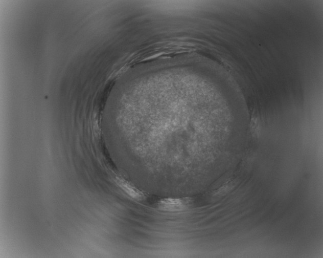 X0000076030381200610201833