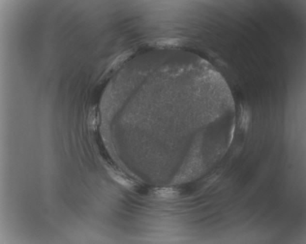 X0000076030383200610201833