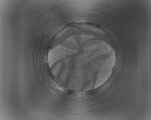 X0000076030384200610201833