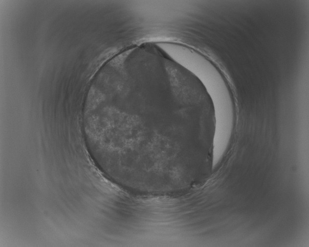 X0000076030385200610201833