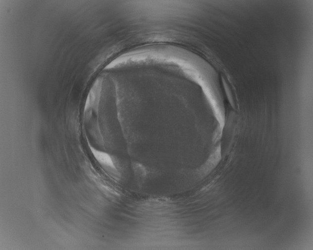 X0000076030386200610201833