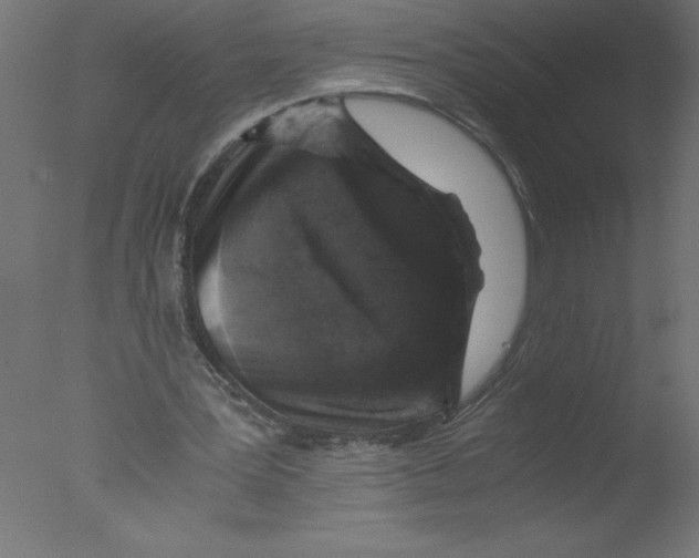 X0000076030387200610201833