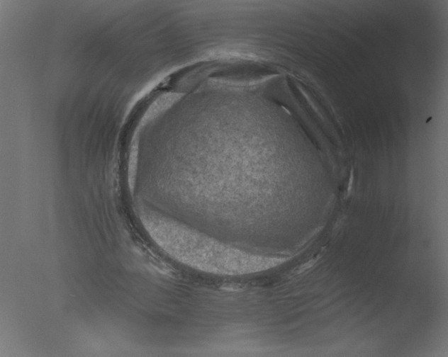 X0000076030388200610201833