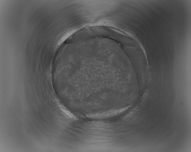 X0000076030389200610201833