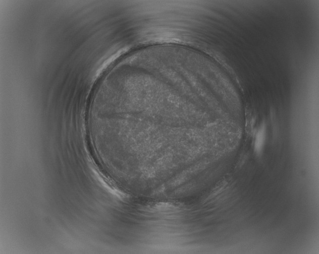 X0000076030390200610201833