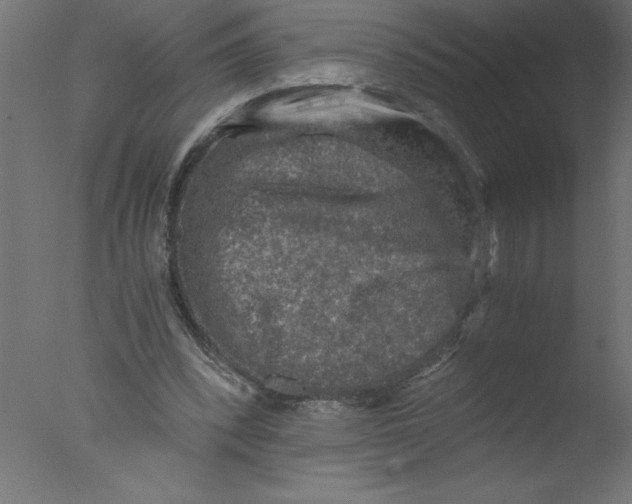 X0000076030392200610201833