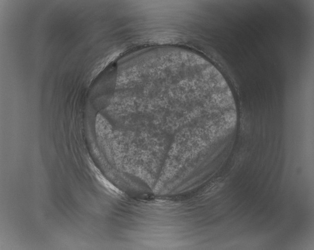 X0000076030393200610201833