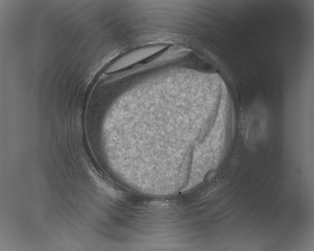 X0000076030394200610201833