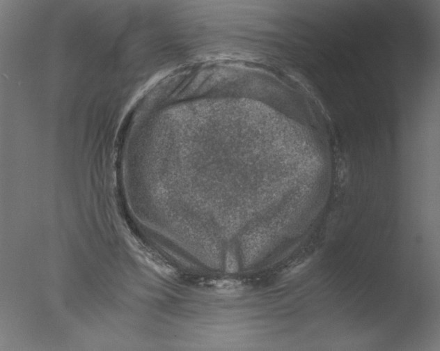 X0000076030395200610201832