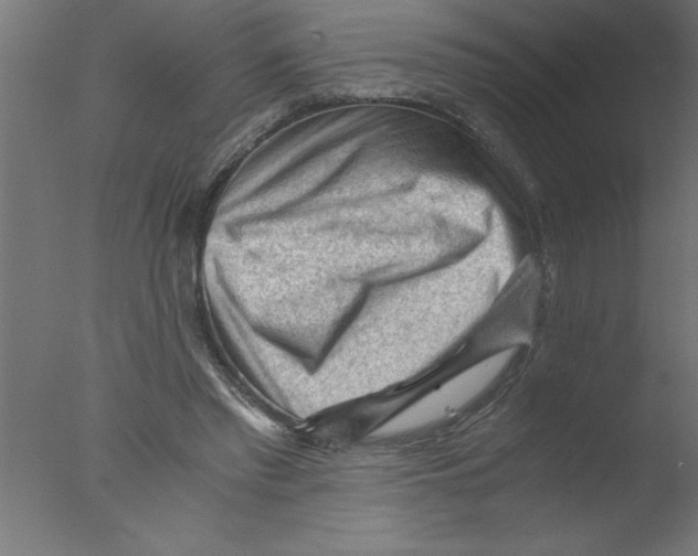 X0000076030397200610201832