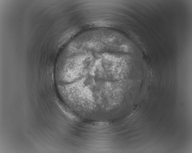 X0000076030398200610201832