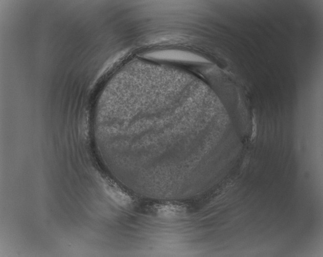 X0000076030400200610201832