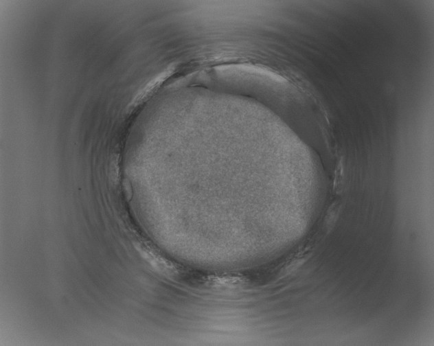 X0000076030401200610201832