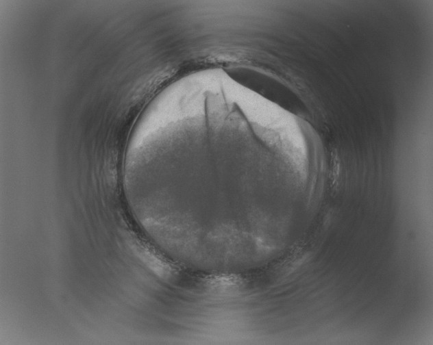 X0000076030402200610201832