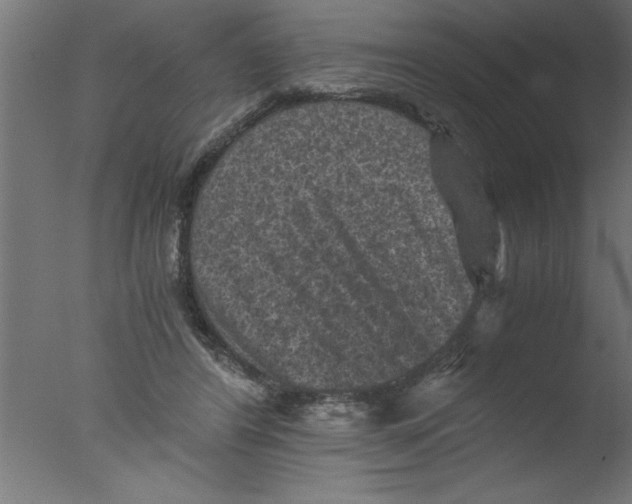 X0000076030404200610201832