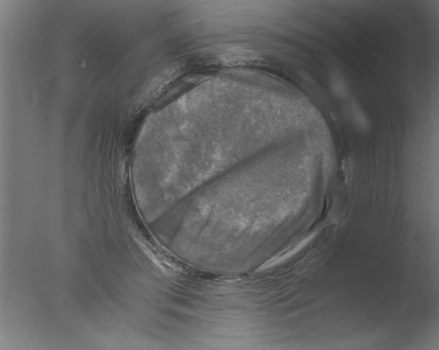 X0000076030405200610201832