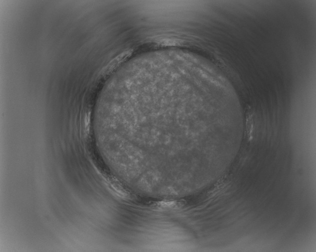 X0000076030406200610201832