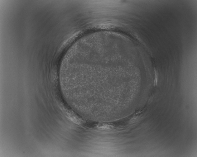 X0000076030407200610201832