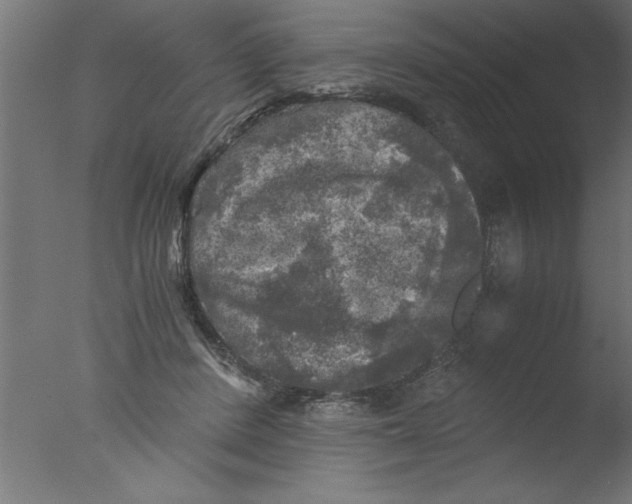 X0000076030408200610201832