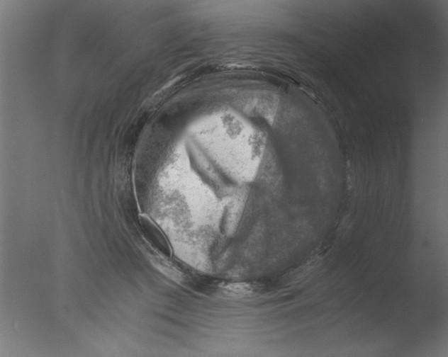 X0000076030409200610201832