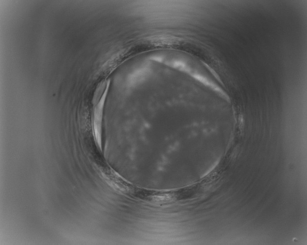 X0000076030411200610201832