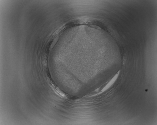 X0000076030413200610201832