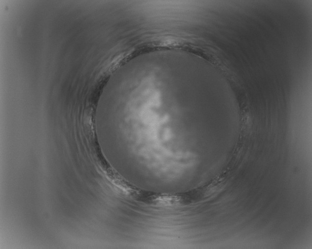 X0000076030415200610201832