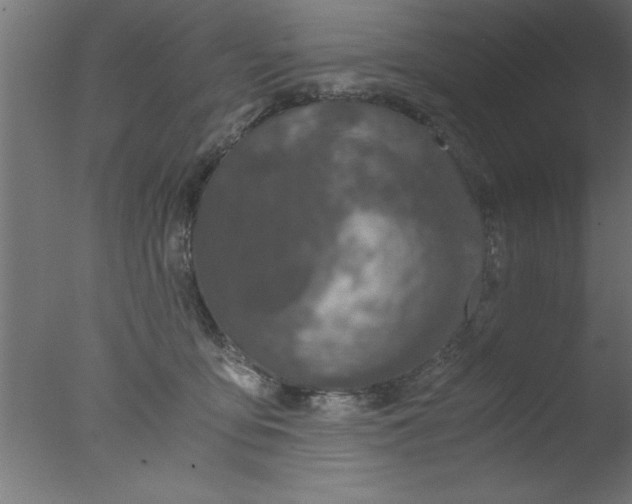 X0000076030419200610201832