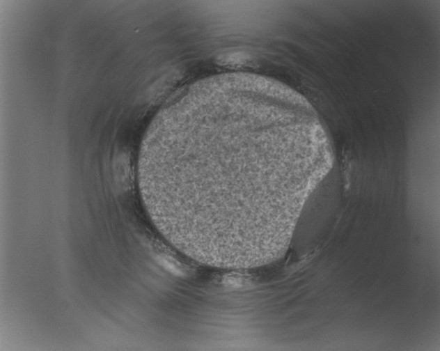 X0000076030420200610201832