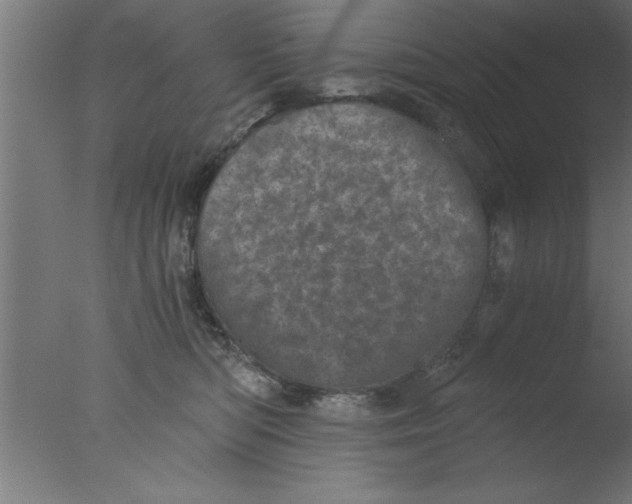 X0000076030422200610201832