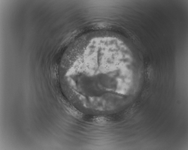 X0000076030423200610201832