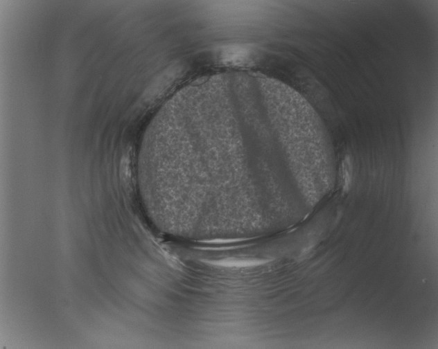 X0000076030424200610201832