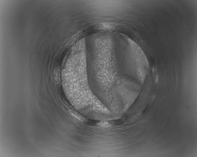 X0000076030425200610201832