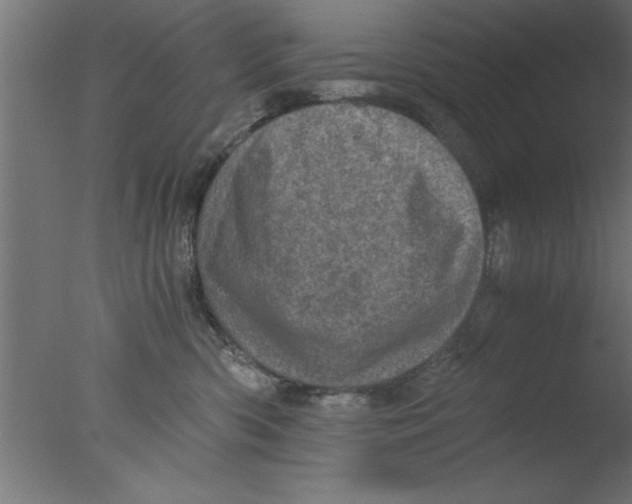 X0000076030426200610201832