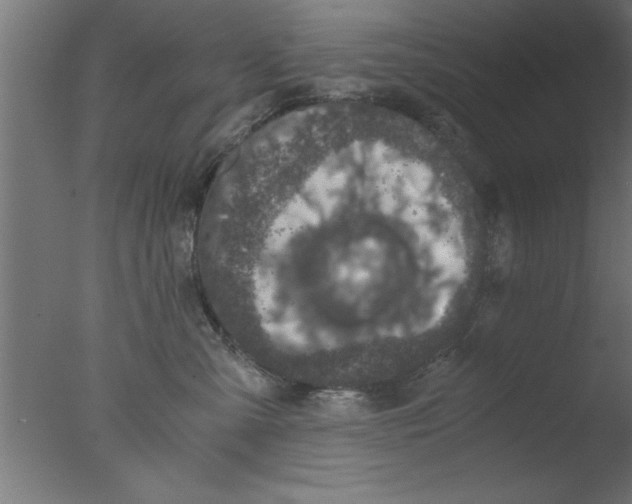 X0000076030427200610201832