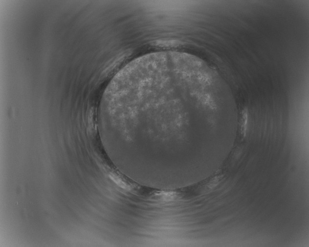 X0000076030428200610201832