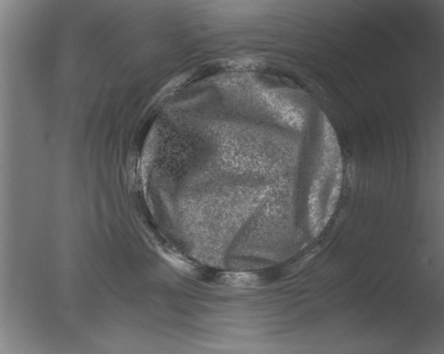 X0000076030429200610201832