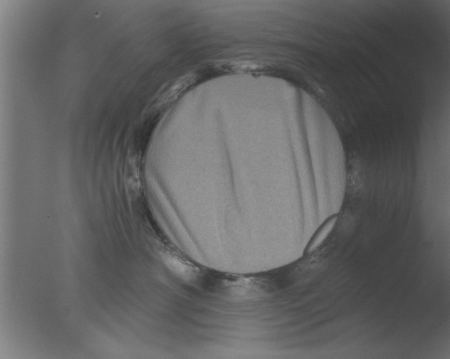 X0000076030430200610201832