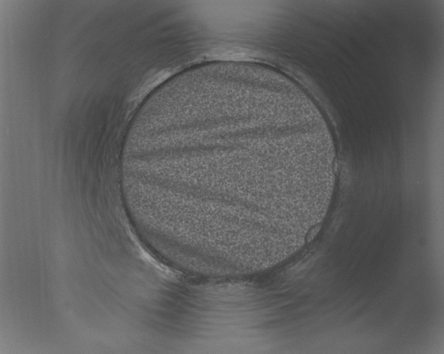 X0000076030433200610201831